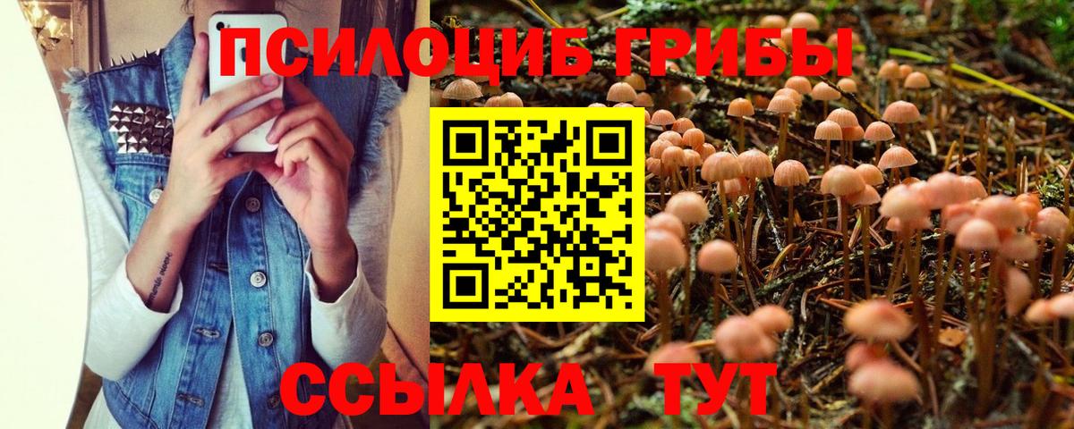 Псилоцибиновые грибы ЛСД  Галлюциногенные грибы MAGIC MUSHROOMS  Вход с VPN  Прохладный 