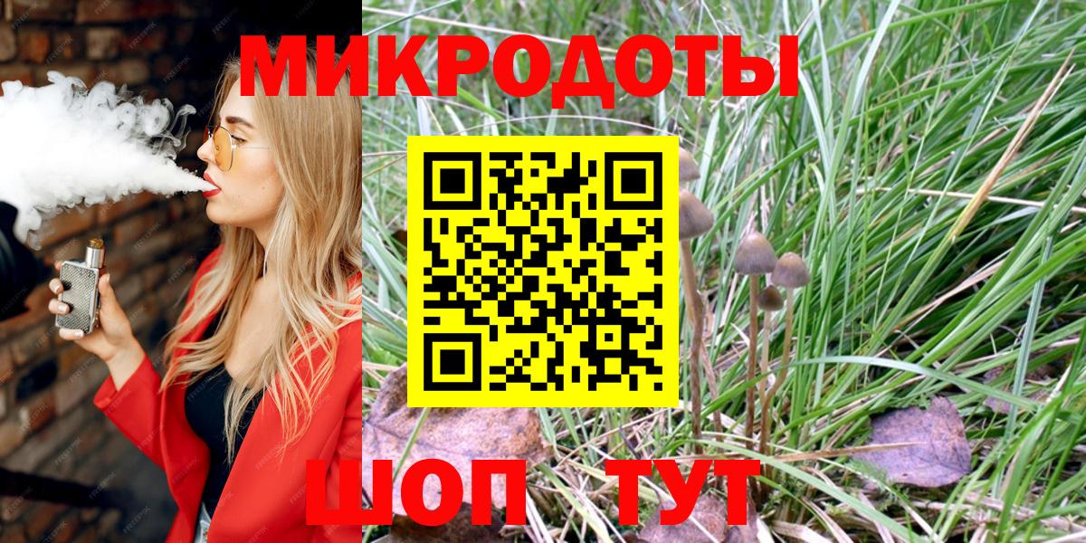 Псилоцибиновые грибы Psilocybine cubensis Прохладный