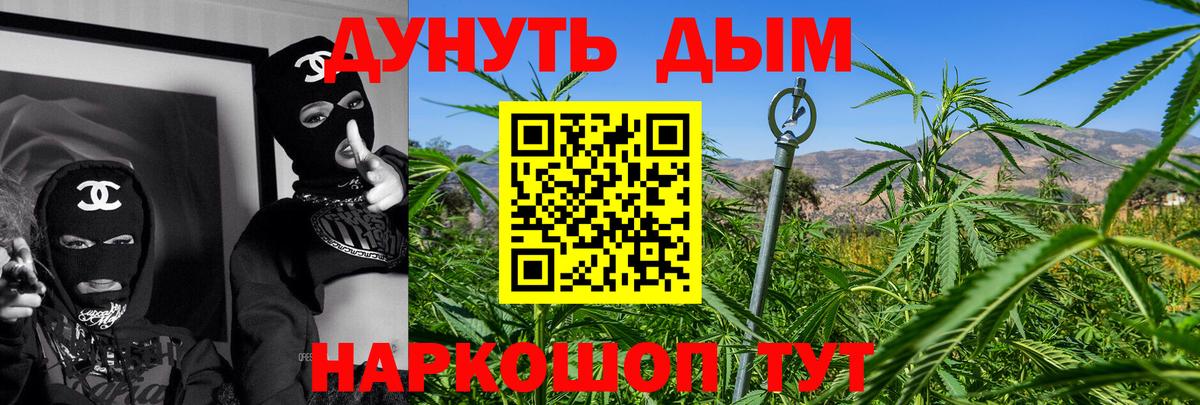 Канабис OG Kush Прохладный